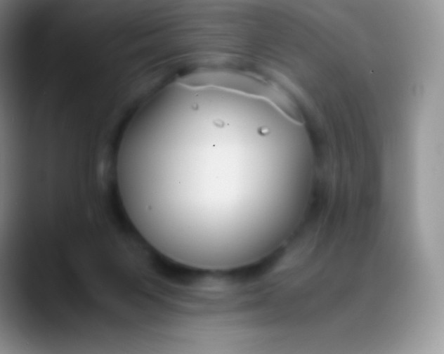 X0000089870119200707191945