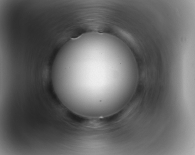 X0000089870121200707191945