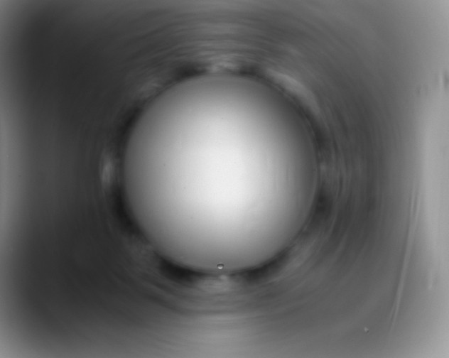 X0000089870123200707191945