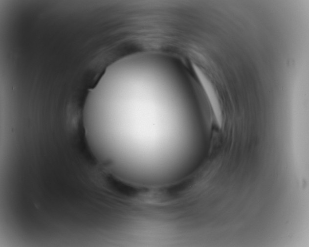 X0000089870125200707191945