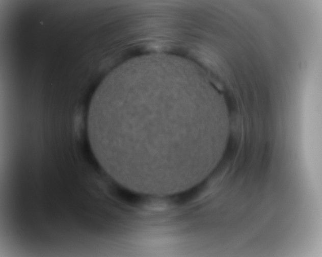 X0000089870127200707191945