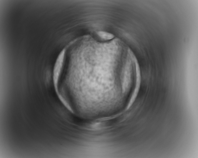 X0000089870130200707191945