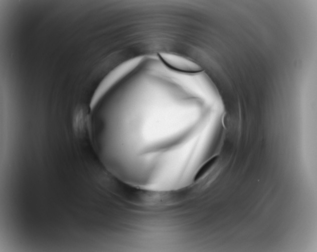 X0000089870142200707191945