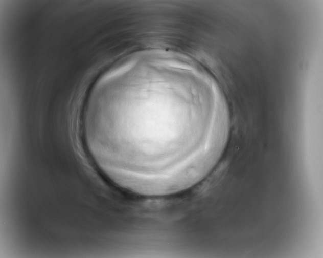 X0000089870145200707191944