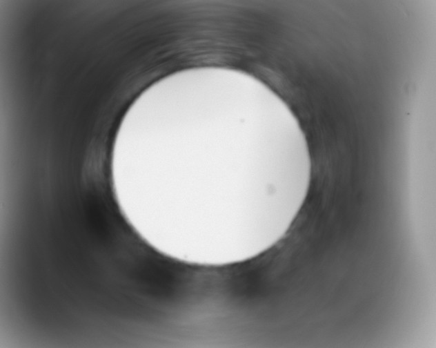 X0000089870146200707191944