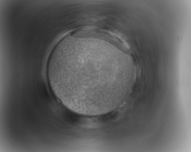 X0000089870147200707191944