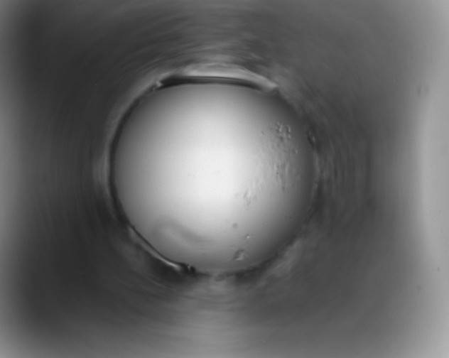 X0000089870148200707191944