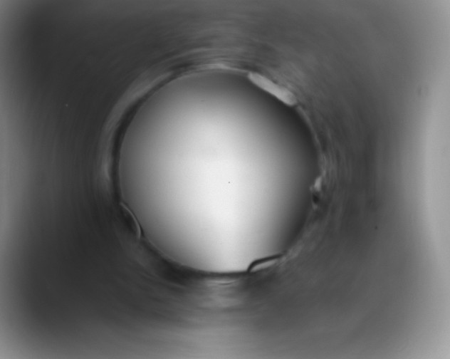 X0000089870150200707191944