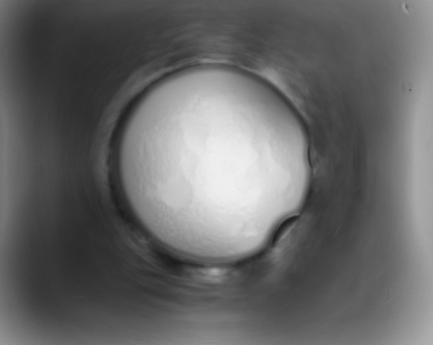 X0000089870151200707191944