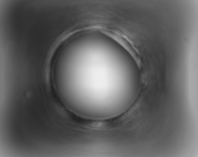 X0000089870152200707191944