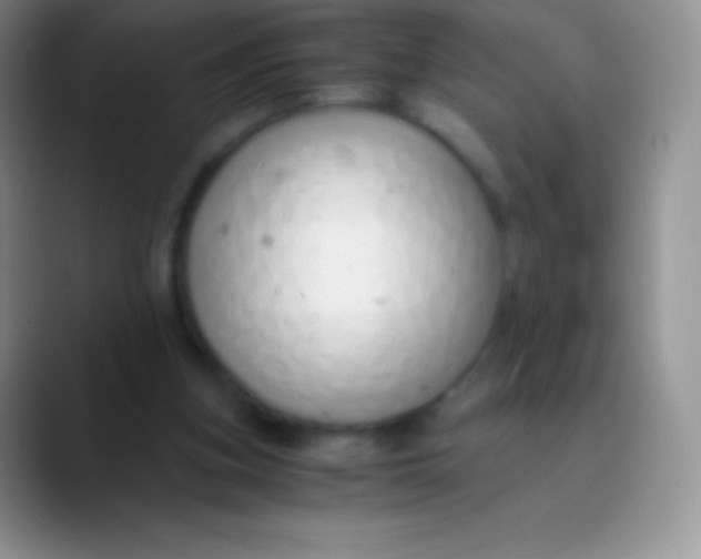 X0000089870155200707191944