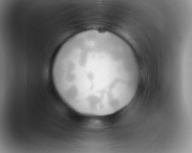 X0000089870159200707191944