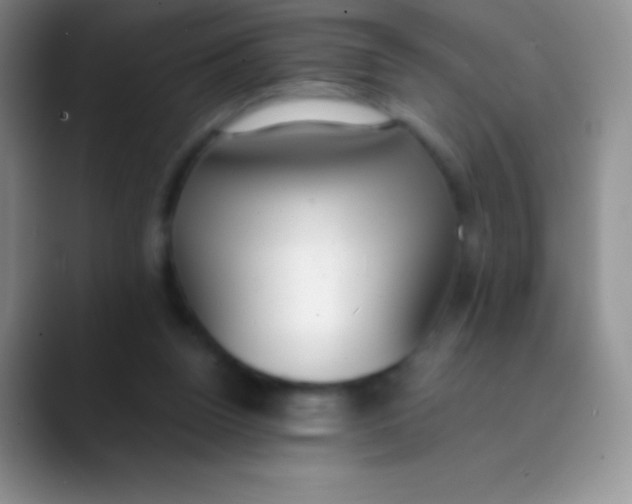 X0000089870160200707191944