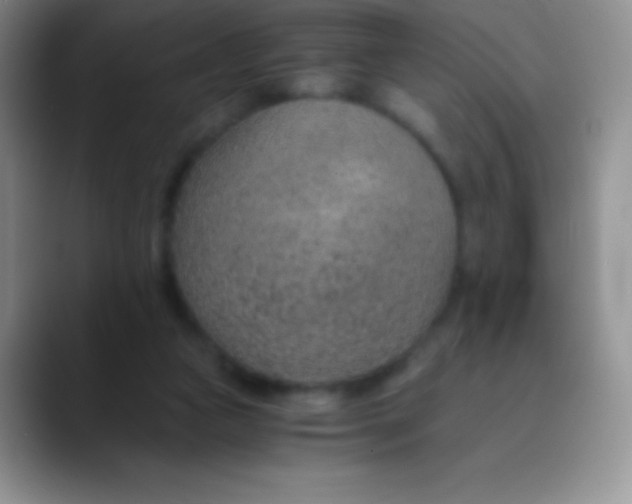 X0000089870161200707191945