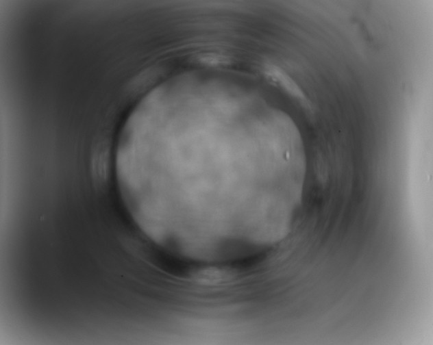 X0000089870163200707191945