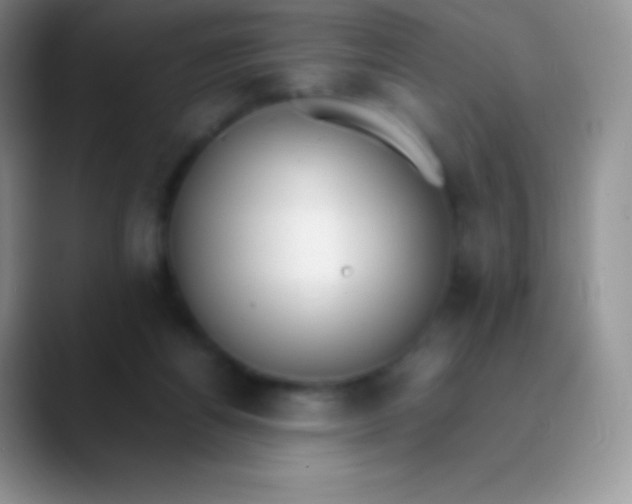 X0000089870164200707191945