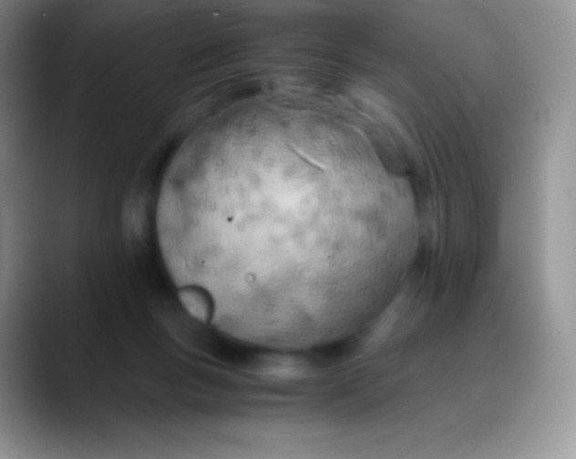 X0000089870167200707191945