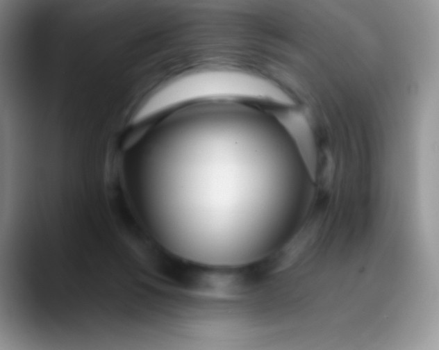 X0000089870168200707191945