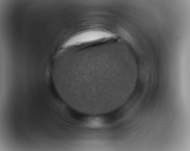 X0000089870169200707191945