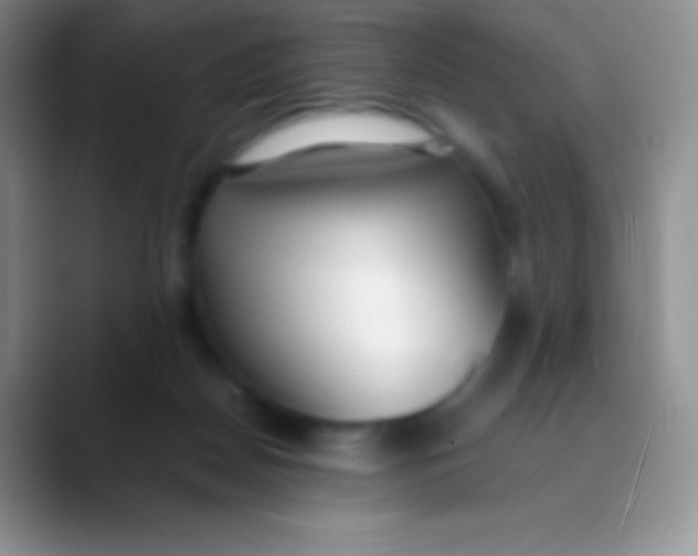 X0000089870170200707191945