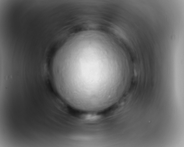 X0000089870173200707191945