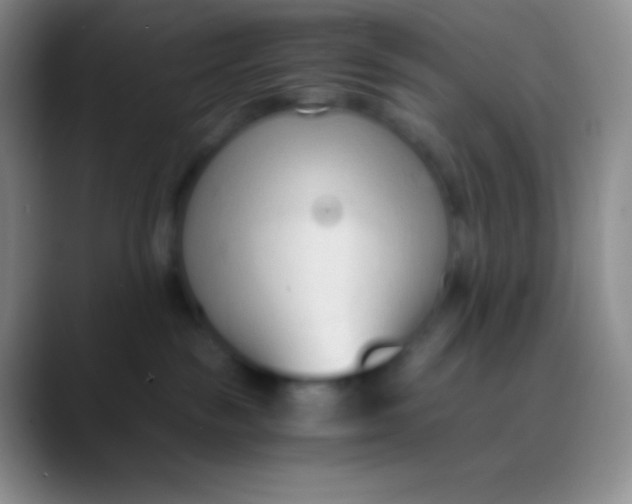 X0000089870189200707191945