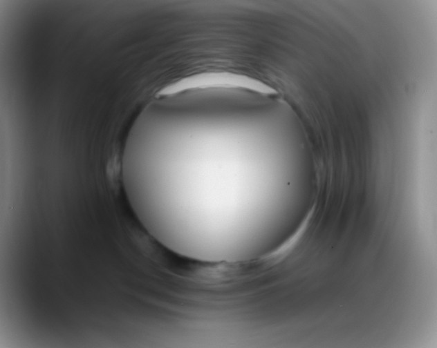 X0000089870190200707191945