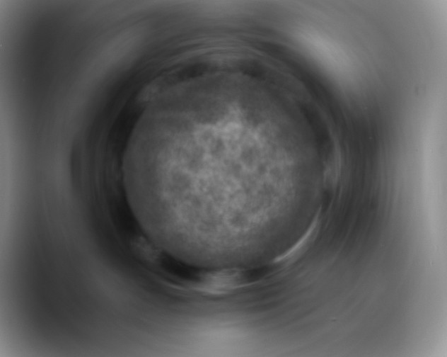 X0000089870191200707191945