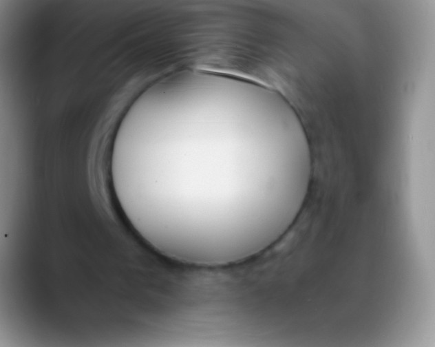 X0000089870193200707191944