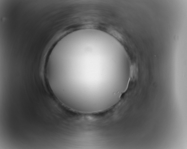 X0000089870195200707191944