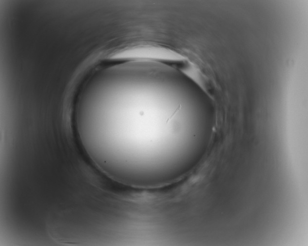 X0000089870197200707191944