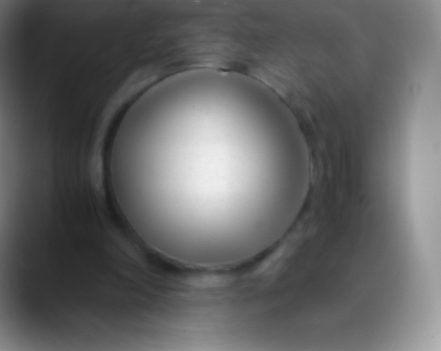 X0000089870198200707191944