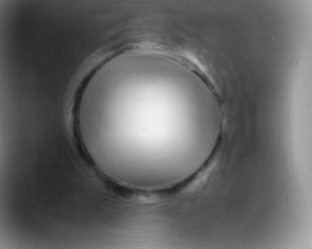 X0000089870199200707191944