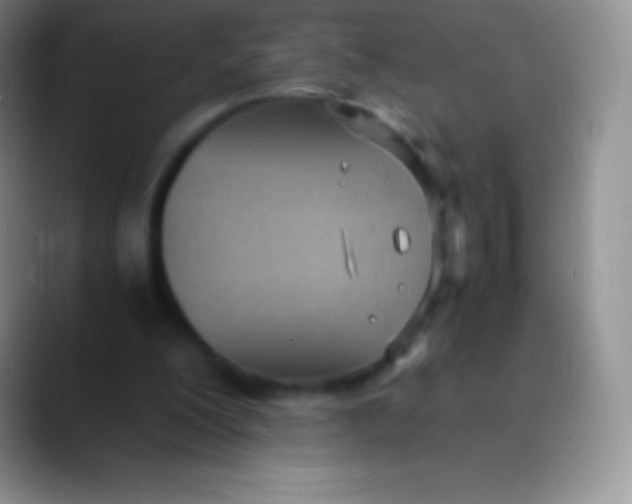 X0000089870200200707191944