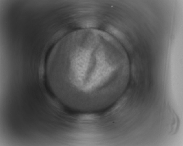 X0000089870202200707191944