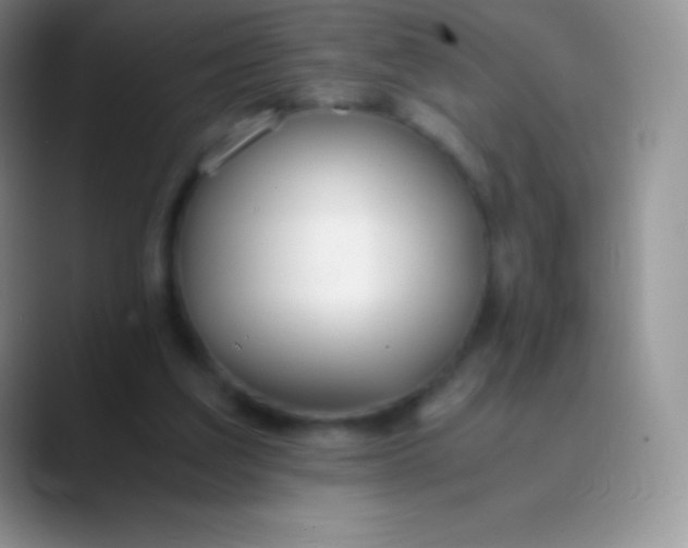 X0000089870203200707191944