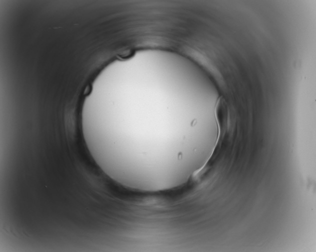 X0000089870204200707191944