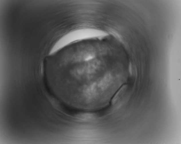 X0000089870205200707191944