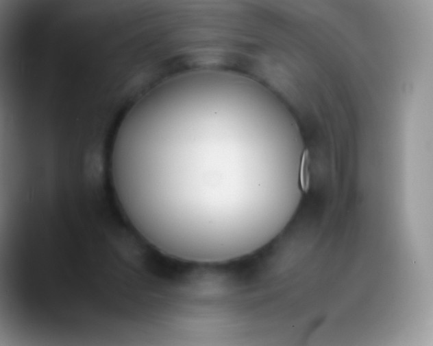 X0000089870207200707191944