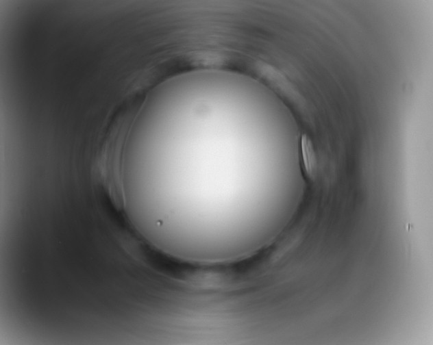 X0000089870209200707191944