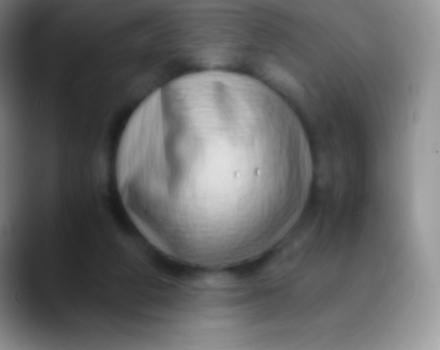 X0000089870210200707191944