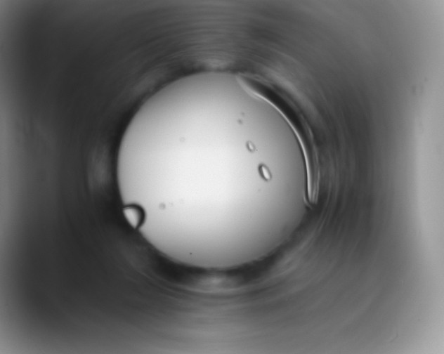 X0000089870212200707191944