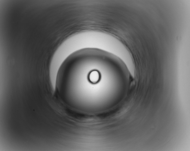 X0000089870215200707191944