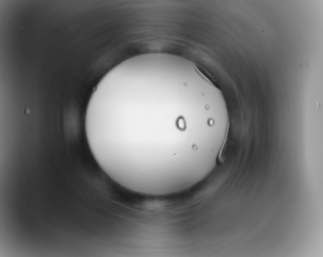 X0000089870216200707191944