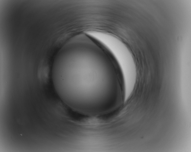 X0000089870219200707191944