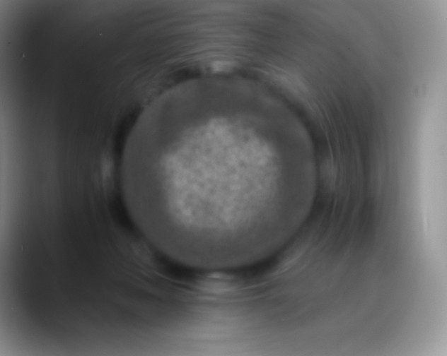 X0000089870222200707191944