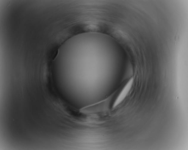 X0000089870223200707191944