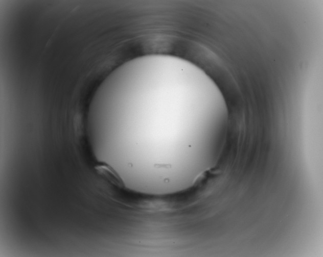 X0000089870224200707191944