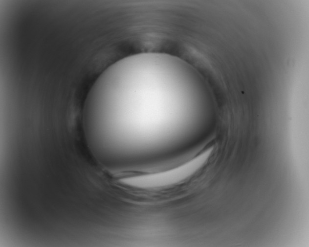 X0000089870225200707191944