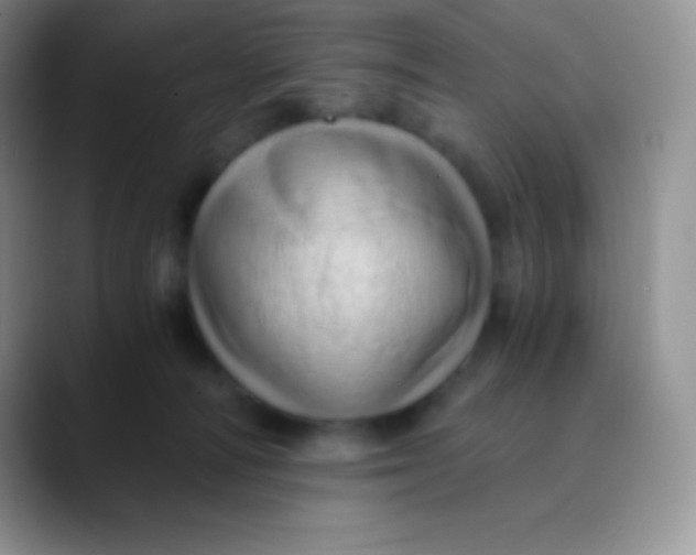 X0000089870226200707191944